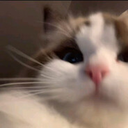 AAA鹈鹕镇农产品批发