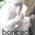 Boncaco