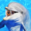 DanishDolphin