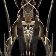Maartor avatar