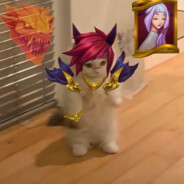 我的高腕豪大颗