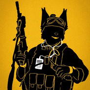 s1lentSpraY Steam avatar