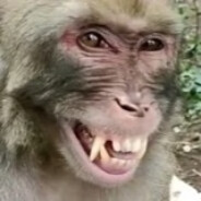 花果山联合会议主任