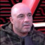 Joe Rogan