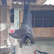 我也喜欢二刺螈