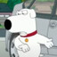 WhatTheHell Stewie get out here!