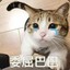 会发光的ZnS