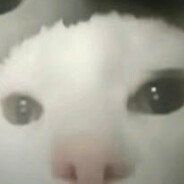 Сырнеке