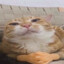Avatar of player Сусанин мордобой