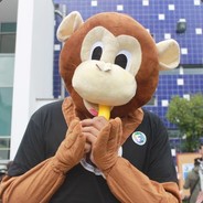 Paipeureika