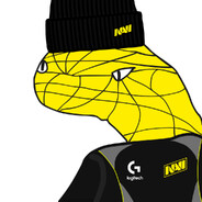 Player avatar