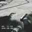 ʟᴜɴαᴛɪᴄ