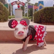 今天也想喝旺仔