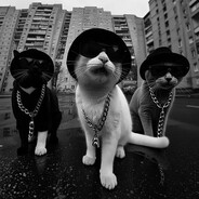 -nikush avatar