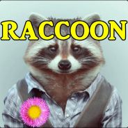 r[A]ccoon