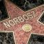 Norbosz