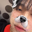 Noe