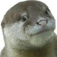 Ottfried Otter [420]