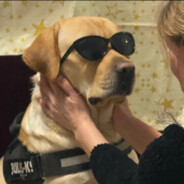 rasvan3l in lupta cu destinu