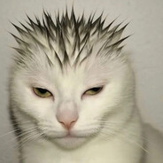 _KB2K_ - steam id 76561199522973470