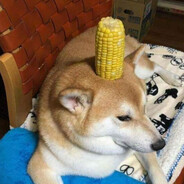 corn dog