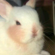 不用鼠标都能赢