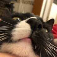 祝大家幸福快乐