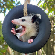 AnxiousOpossum