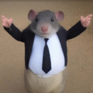 Executive mouse