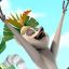 King Julien