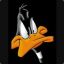 daffy duck