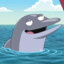 Smartass Dolphin