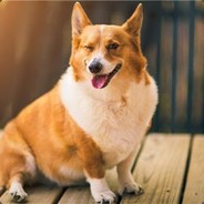 你压到我腿毛了