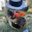 snowkasfan