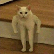 | JKL - steam id 76561198027048348