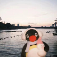 好本科不比大专差