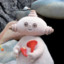 hahaharry_wu