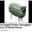Chungy