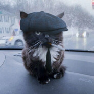 fafeka - steam id 76561198877604618