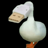 usduck