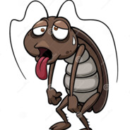 Barata