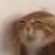 涂某人今天rush B