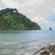 咸鱼也要浪的飞起