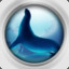 ocean browser