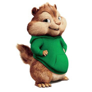 SCOTTY and the Chipmunks avatar