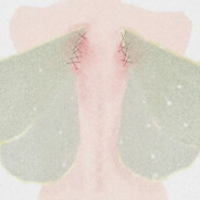 你的操作梨姐不理解