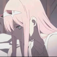 粗腿肉壮熊 100+-