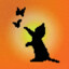 猫猫耶