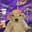 Nuka_doge