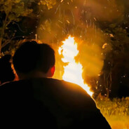 雪豹不爱抽锐刻